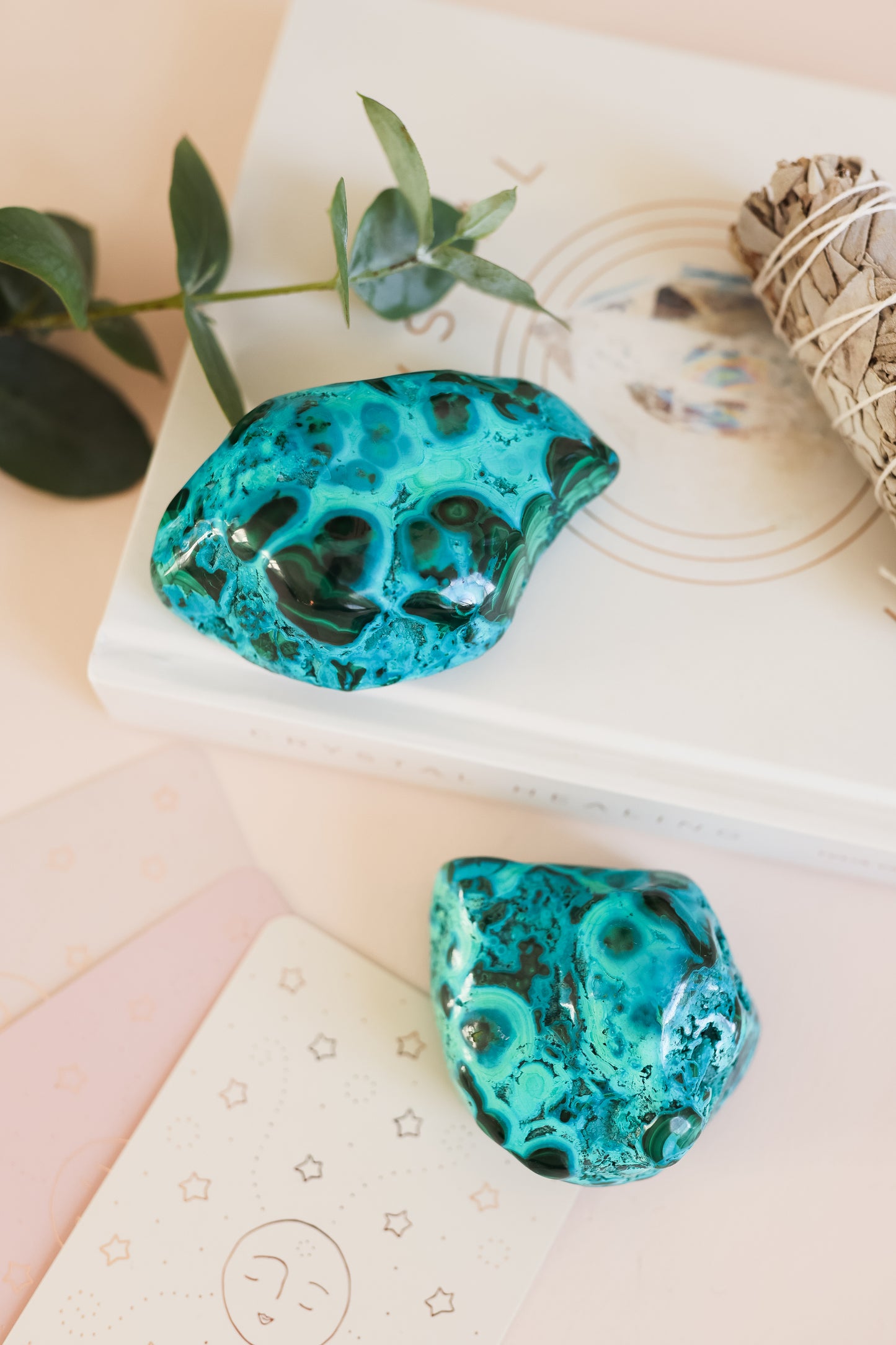 Malacholla Freefrom Polished Large Irregular Shape