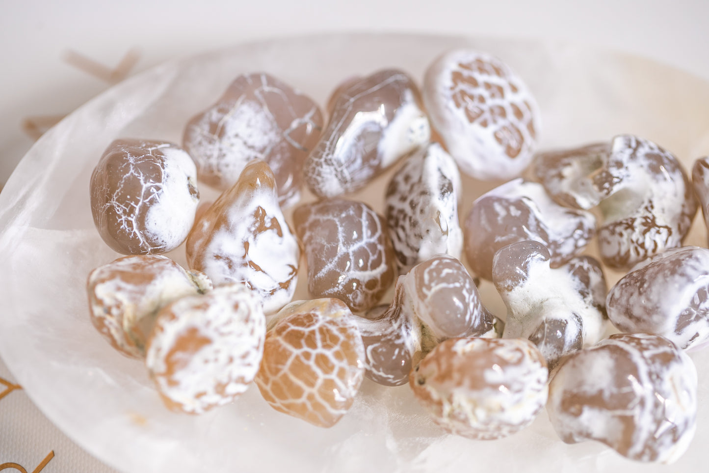 Mini Snakeskin Agate Nodule Small Tumble