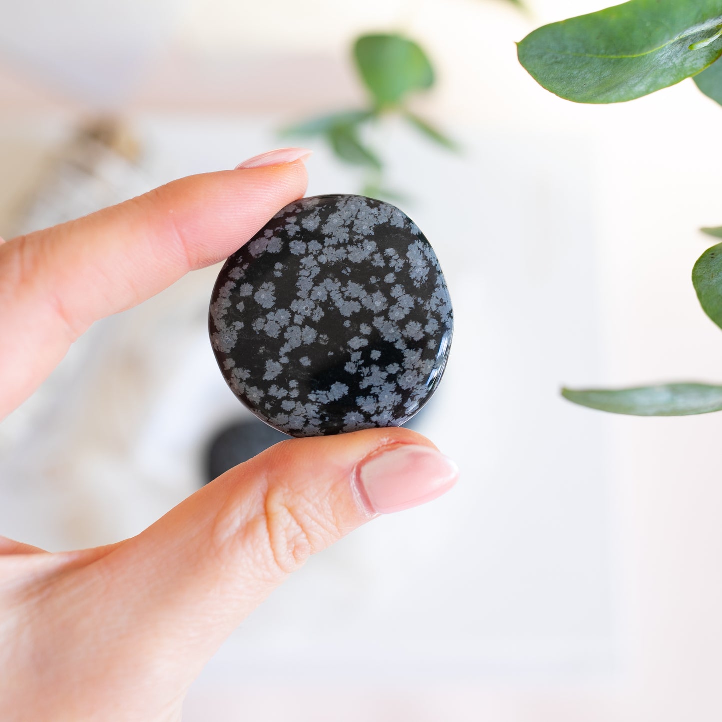 Snowflake Obsidian Palmstone