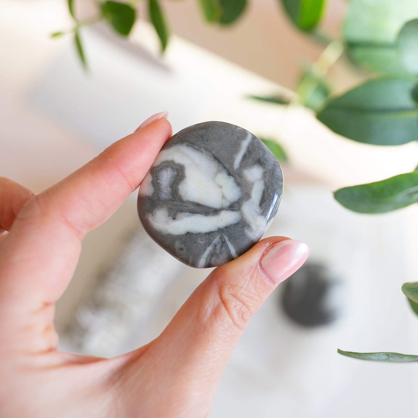 Zebra Jasper Palmstone