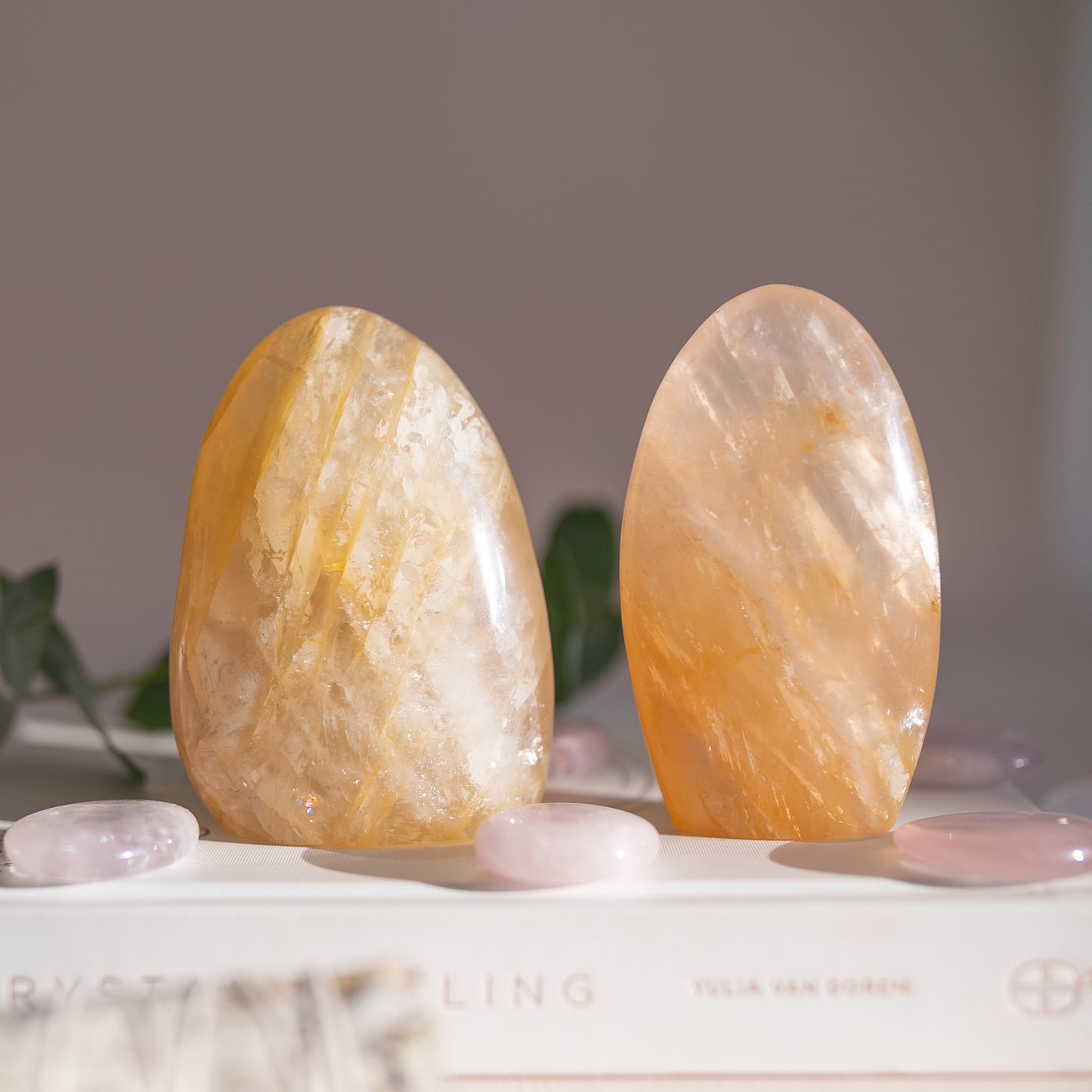 Golden Healer Freeform