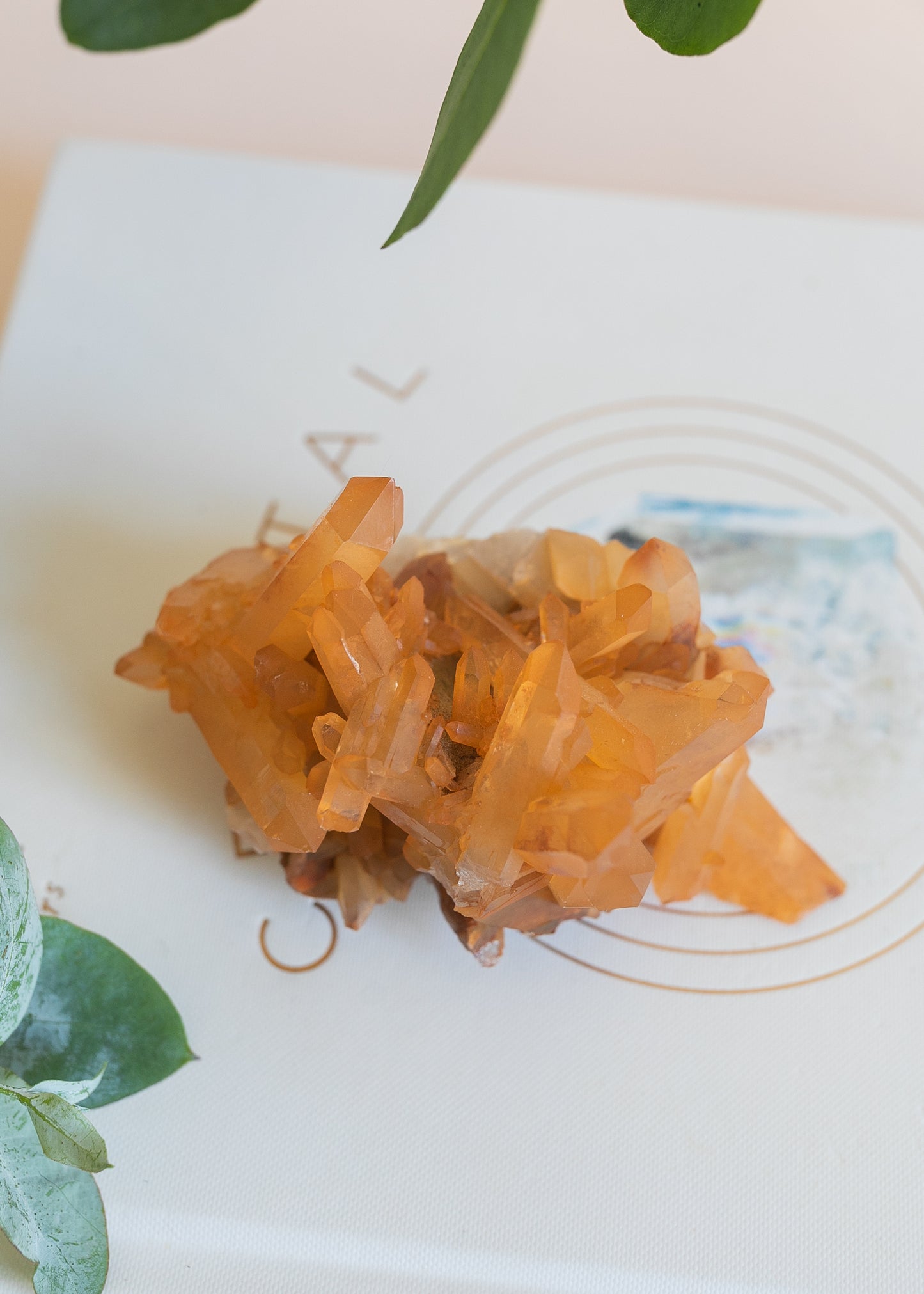 Tangerine Quartz Zeca De Souza Brazil