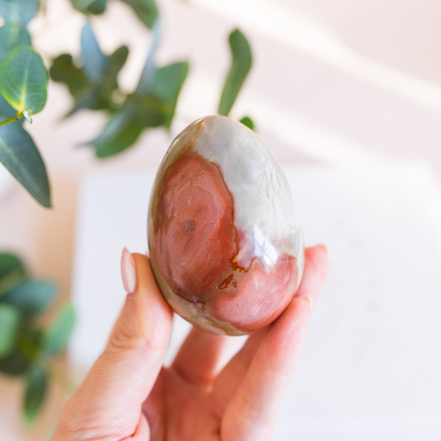 Polychrome Jasper Egg