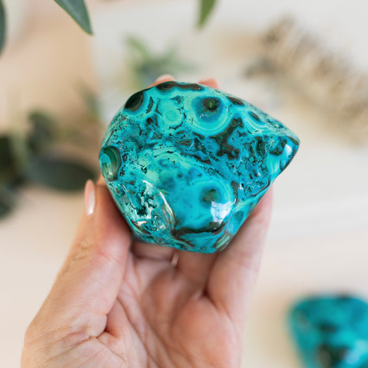 Malacholla Freefrom Polished Large Irregular Shape