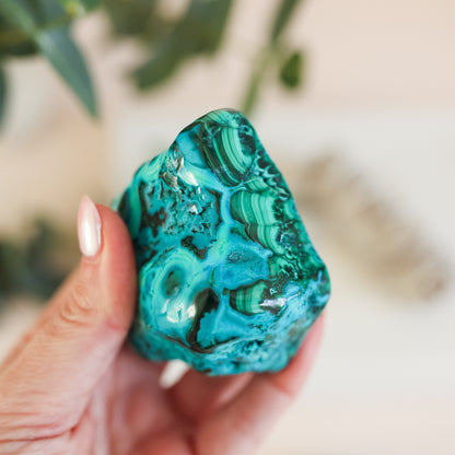Malacholla Freefrom Polished Large Irregular Shape