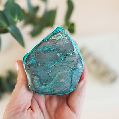 Malacholla Freefrom Polished Large Irregular Shape