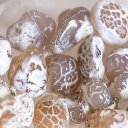 Mini Snakeskin Agate Nodule Small Tumble