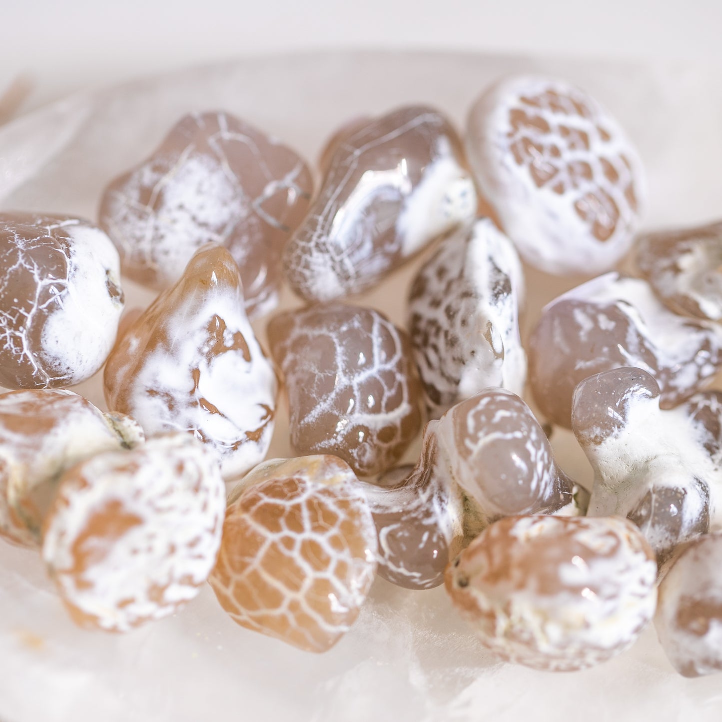 Mini Snakeskin Agate Nodule Small Tumble