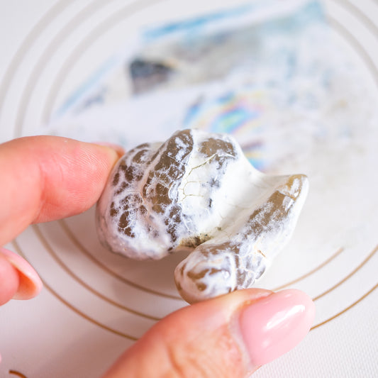 Large Snakeskin Agate Nodule from USA