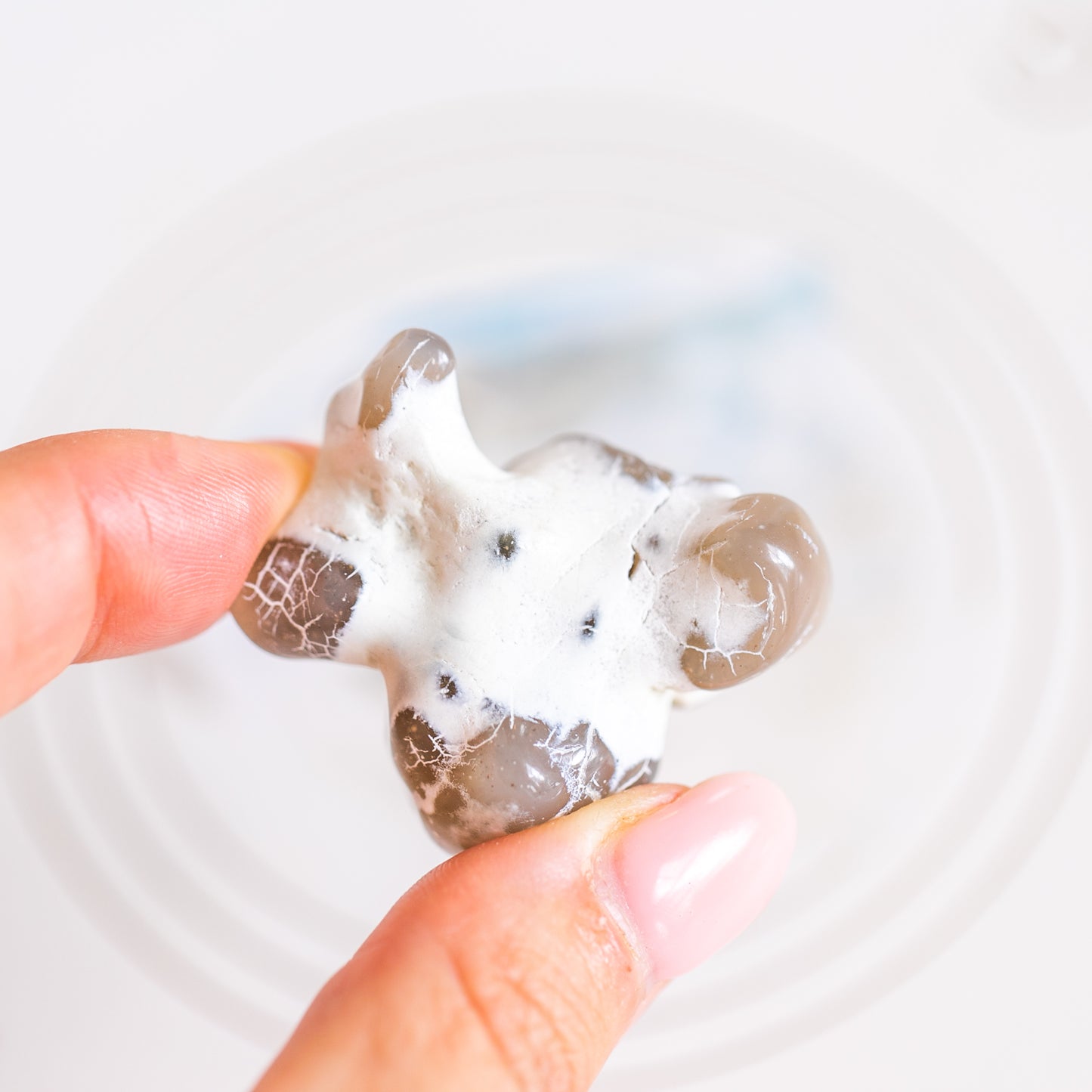 Large Snakeskin Agate Nodule from USA