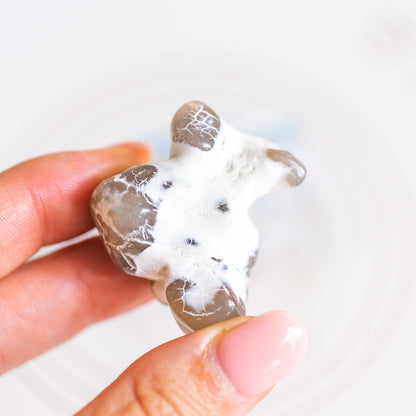 Large Snakeskin Agate Nodule from USA