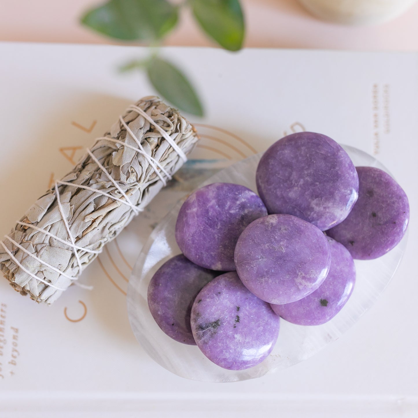 Lepidolite Palmstone