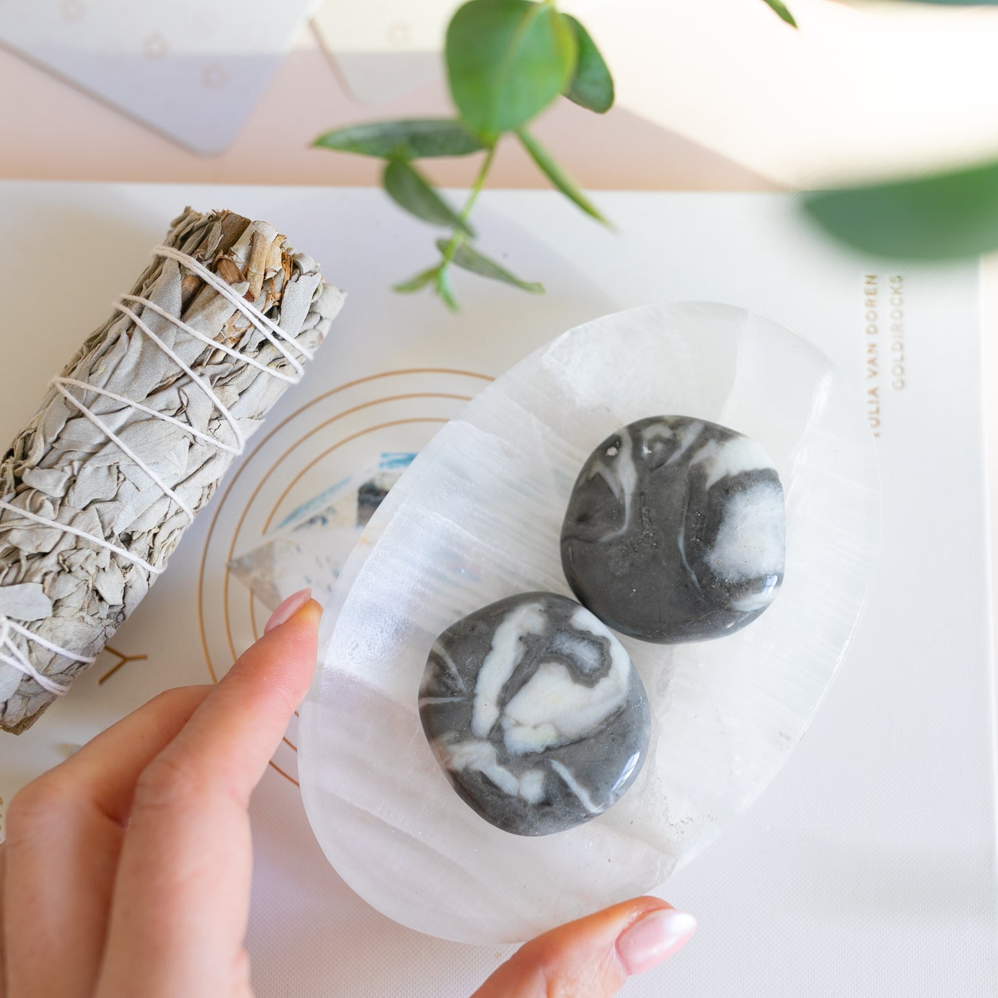 Zebra Jasper Palmstone