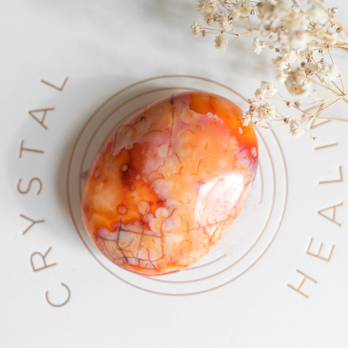 Carnelian Large Chunky Palmstone with Unique Flower formations
