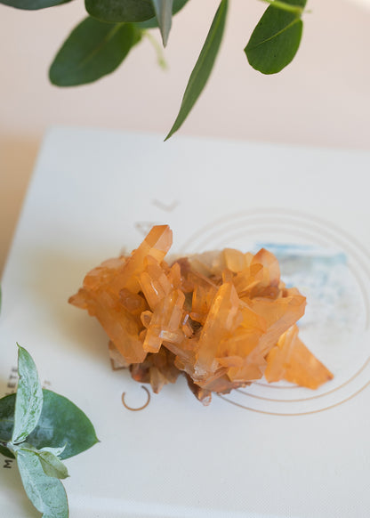 Tangerine Quartz Zeca De Souza Brazil