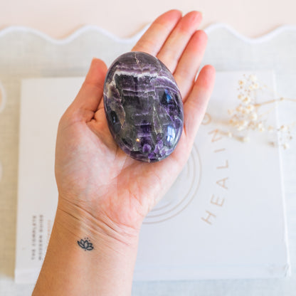 Chevron Amethyst or Dream Amethyst Palm from Brazil