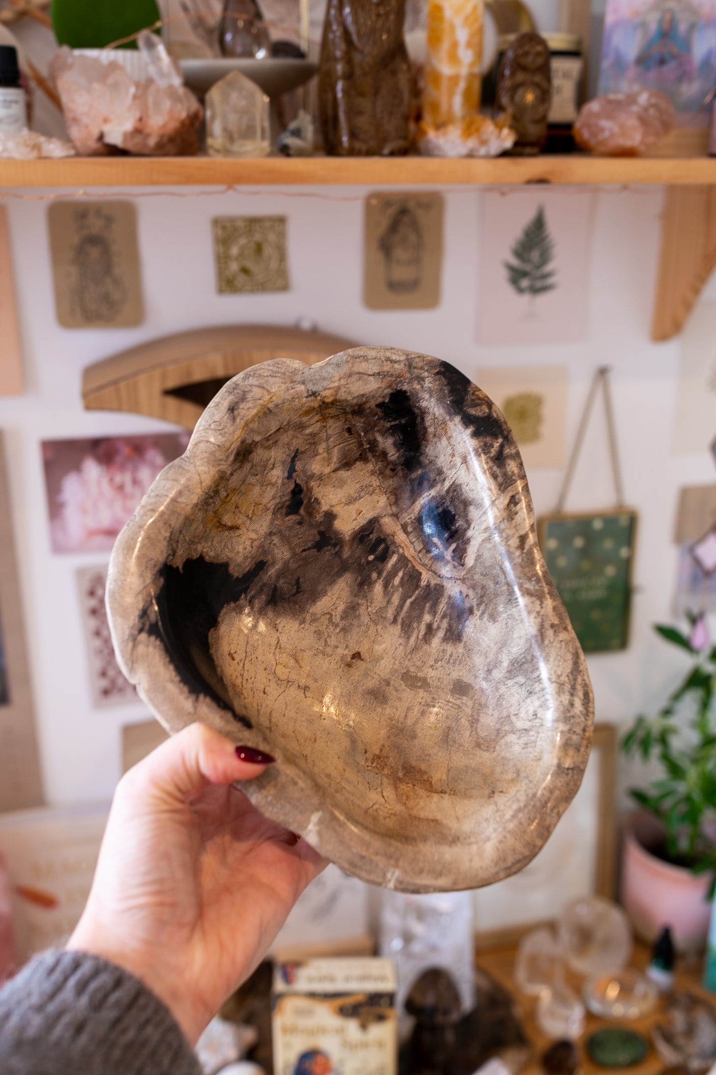 Large Petrified Wood Decorative Crystal Bowl