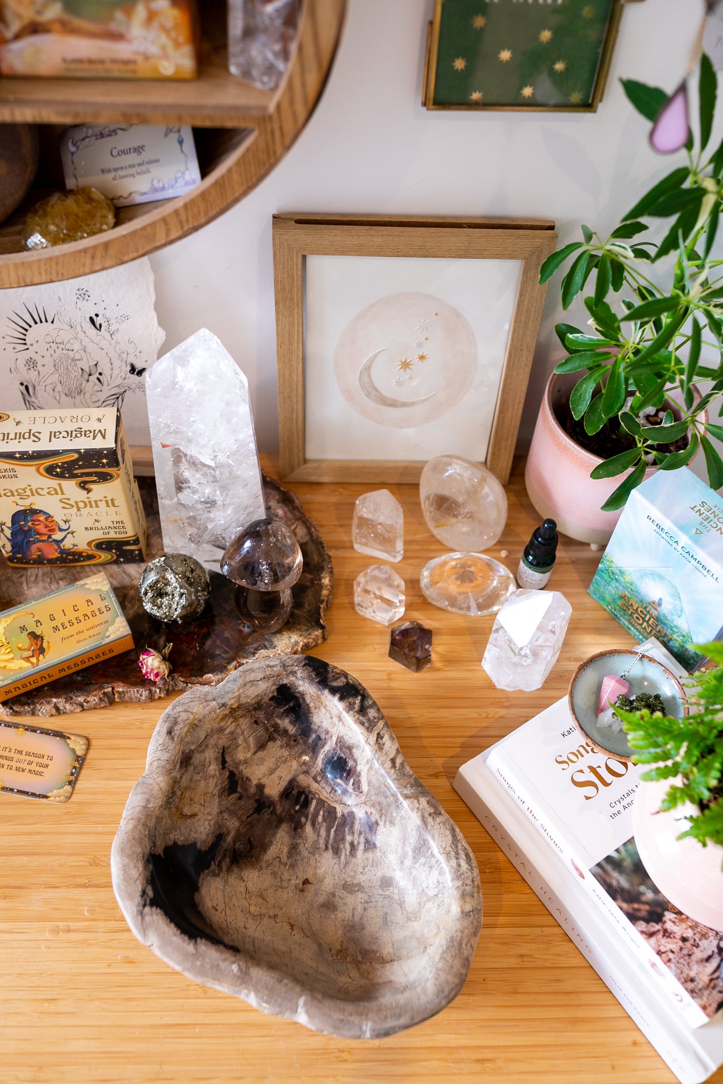 Large Petrified Wood Decorative Crystal Bowl