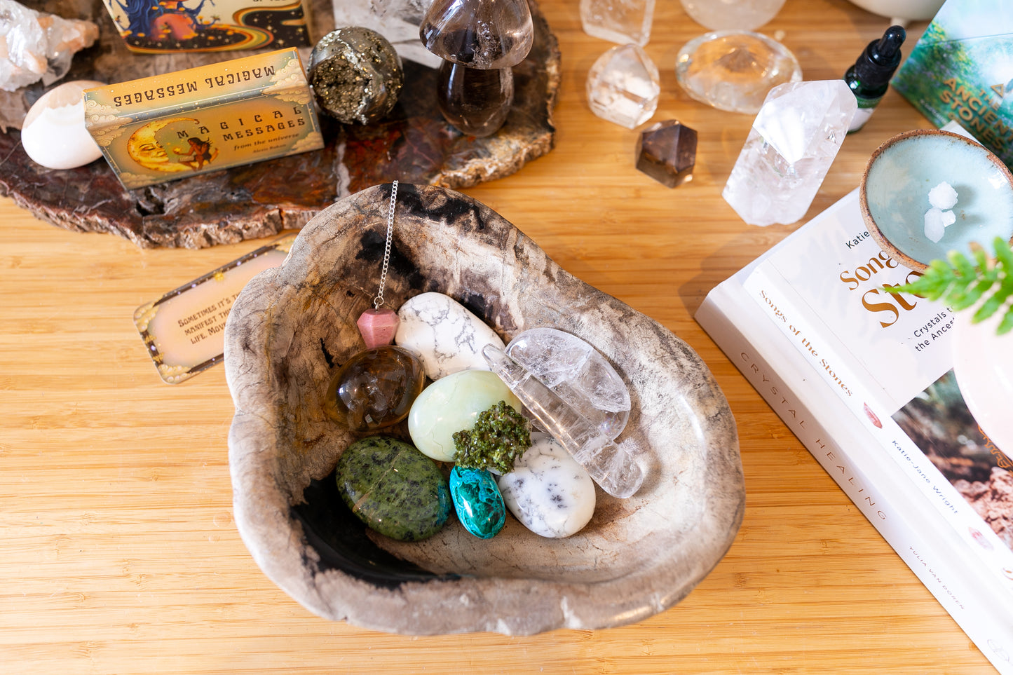 Large Petrified Wood Decorative Crystal Bowl