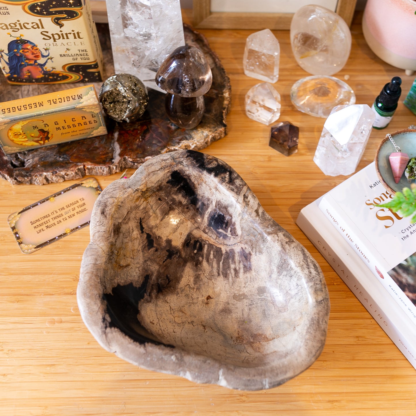 Large Petrified Wood Decorative Crystal Bowl