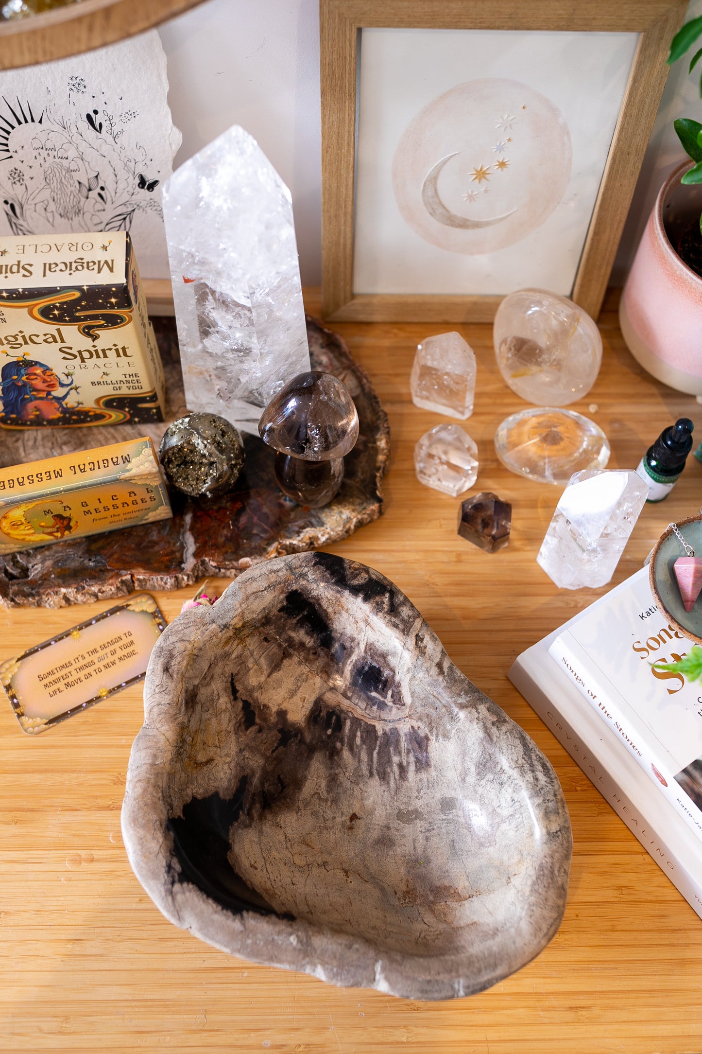 Large Petrified Wood Decorative Crystal Bowl