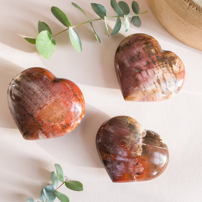 Petrified Wood Fossilised Wood Heart from Madagascar