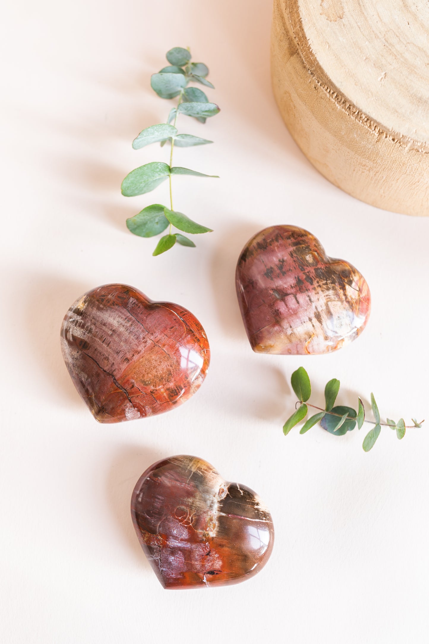Petrified Wood Fossilised Wood Heart from Madagascar