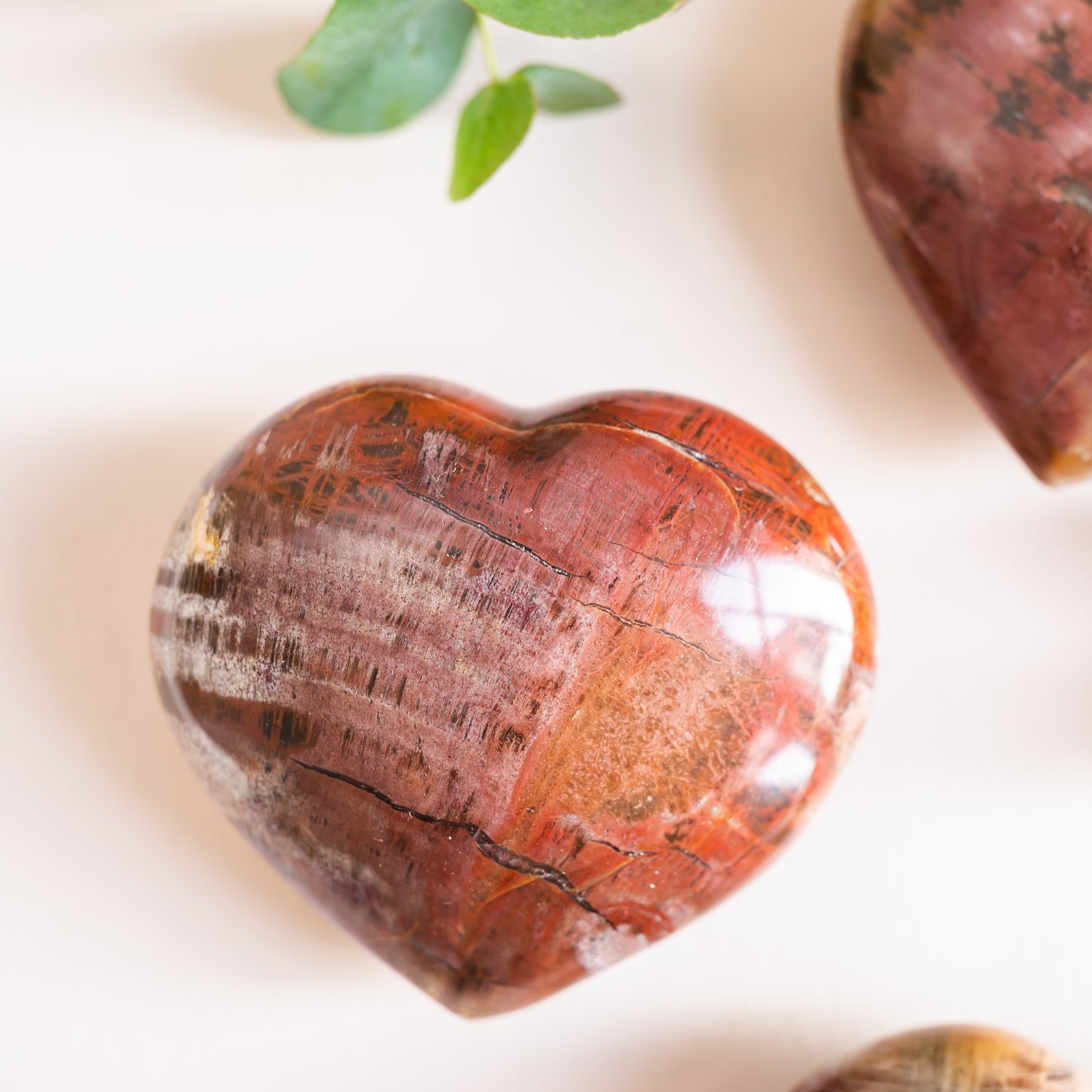 Petrified Wood Fossilised Wood Heart from Madagascar
