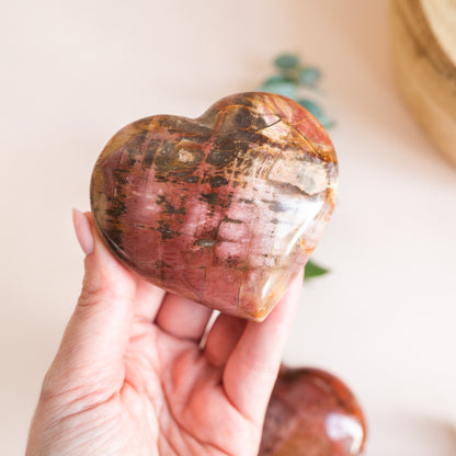 Petrified Wood Fossilised Wood Heart from Madagascar