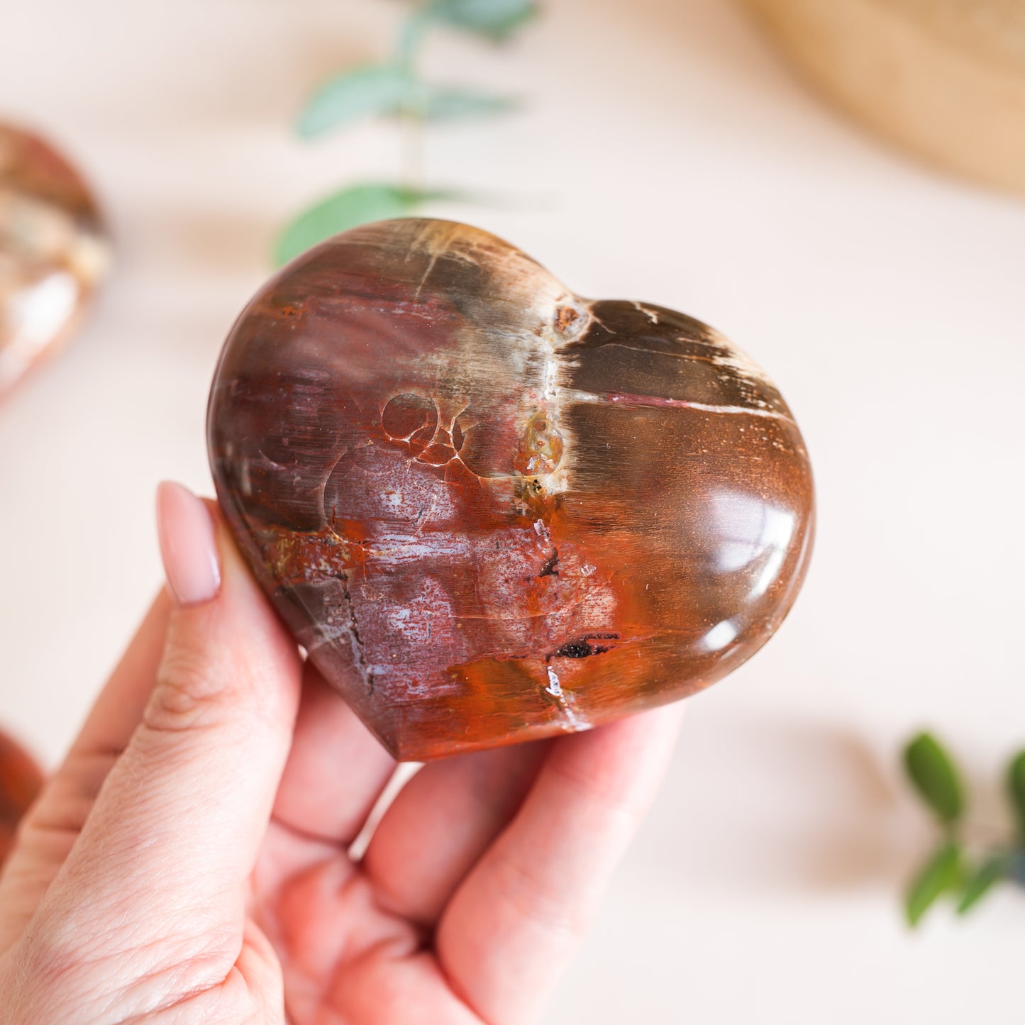 Petrified Wood Fossilised Wood Heart from Madagascar