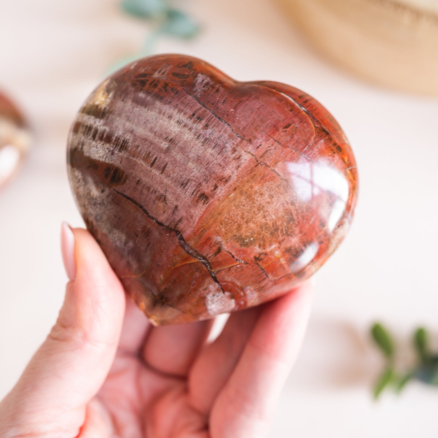Petrified Wood Fossilised Wood Heart from Madagascar