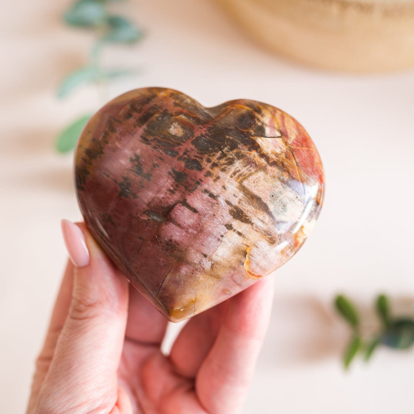 Petrified Wood Fossilised Wood Heart from Madagascar