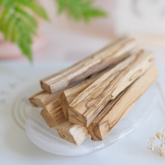 Palo Santo Wood Stick for Cleansing and Clearing.